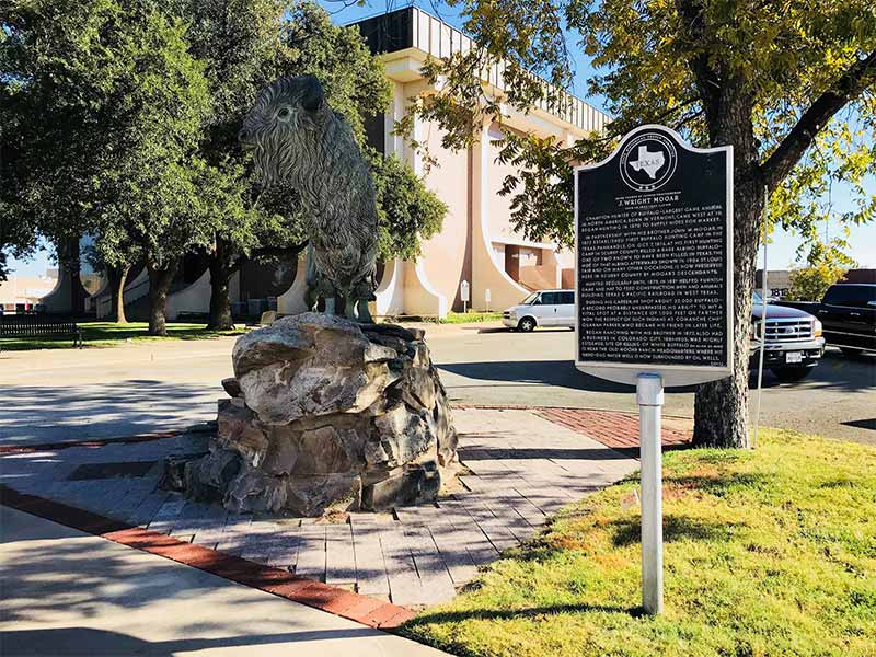 Snyder Tree Service Snyder Tree Service